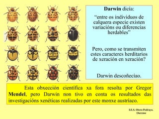 Darwin dicía:
                                    “entre os individuos de
                                   calquera especie existen
                                   variacións ou diferencias
                                          herdables”


                                    Pero, como se transmiten
                                   estes caracteres herditarios
                                    de xeración en xeración?


                                      Darwin descoñecíao.

        Esta obxección científica xa fora resolta por Gregor
Mendel, pero Darwin non tivo en conta os resultados das
investigacións xenéticas realizadas por este monxe austríaco.
                                                     I.E.S. Otero Pedrayo.
                                                            Ourense
 