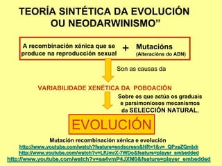 TEORÍA SINTÉTICA DA EVOLUCIÓN
        OU NEODARWINISMO”

    A recombinación xénica que se
    produce na reproducción sexual
                                        +    Mutacións
                                             (Alteracións do ADN)


                                      Son as causas da


          VARIABILIDADE XENÉTICA DA POBOACIÓN
                                       Sobre os que actúa os graduais
                                        e parsimoniosos mecanismos
                                        da SELECCIÓN NATURAL.


                      EVOLUCIÓN
              Mutación recombinación xénica e evolución
   http://www.youtube.com/watch?feature=endscreen&NR=1&v=_QPxaZQmIxk
   http://www.youtube.com/watch?v=LfUmrX-7WDo&feature=player_embedded
http://www.youtube.com/watch?v=aa4vmP4JXM0&feature=player_embedded
 