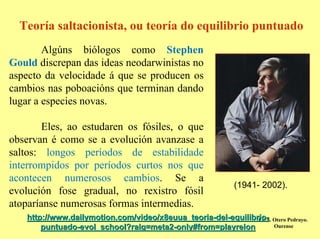 Teoría saltacionista, ou teoría do equilibrio puntuado
        Algúns biólogos como Stephen
Gould discrepan das ideas neodarwinistas no
aspecto da velocidade á que se producen os
cambios nas poboacións que terminan dando
lugar a especies novas.

        Eles, ao estudaren os fósiles, o que
observan é como se a evolución avanzase a
saltos: longos períodos de estabilidade
interrompidos por períodos curtos nos que
acontecen numerosos cambios. Se a
                                                            (1941- 2002).
evolución fose gradual, no rexistro fósil
atoparíanse numerosas formas intermedias.
    http://www.dailymotion.com/video/x8euua_teoria-del-equilibrio- Otero Pedrayo.
                                                               I.E.S.
        puntuado-evol_school?ralg=meta2-only#from=playrelon           Ourense
 