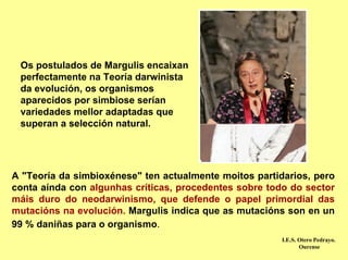 Os postulados de Margulis encaixan
 perfectamente na Teoría darwinista
 da evolución, os organismos
 aparecidos por simbiose serían
 variedades mellor adaptadas que
 superan a selección natural.




A "Teoría da simbioxénese" ten actualmente moitos partidarios, pero
conta aínda con algunhas críticas, procedentes sobre todo do sector
máis duro do neodarwinismo, que defende o papel primordial das
mutacións na evolución. Margulis indica que as mutacións son en un
99 % daniñas para o organismo.
                                                        I.E.S. Otero Pedrayo.
                                                               Ourense
 