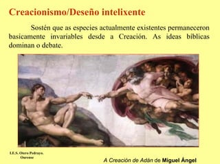 Creacionismo/Deseño intelixente
       Sostén que as especies actualmente existentes permaneceron
basicamente invariables desde a Creación. As ideas bíblicas
dominan o debate.




I.E.S. Otero Pedrayo.
       Ourense
                              A Creación de Adán de Miguel Ángel
 