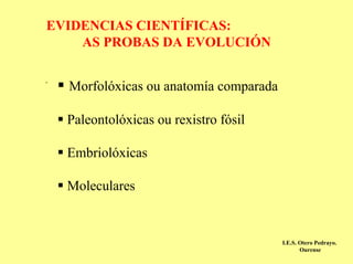 EVIDENCIAS CIENTÍFICAS:
    AS PROBAS DA EVOLUCIÓN

-
    Morfolóxicas ou anatomía comparada

    Paleontolóxicas ou rexistro fósil

    Embriolóxicas

    Moleculares


                                         I.E.S. Otero Pedrayo.
                                                Ourense
 