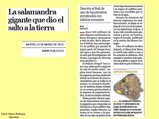 I.E.S. Otero Pedrayo.
       Ourense
 