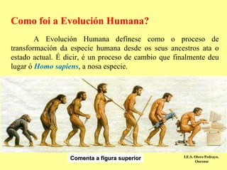 Como foi a Evolución Humana?
        A Evolución Humana defínese como o proceso de
transformación da especie humana desde os seus ancestros ata o
estado actual. É dicir, é un proceso de cambio que finalmente deu
lugar ó Homo sapiens, a nosa especie.




                                                      I.E.S. Otero Pedrayo.
                  Comenta a figura superior                  Ourense
 