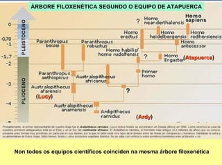 ÁRBORE FILOXENÉTICA SEGUNDO O EQUIPO DE ATAPUERCA




                                                             (Atapuerca)




       (Lucy)


                                            (Ardy)




Non todos os equipos científicos coinciden na mesma árbore filoxenética
 