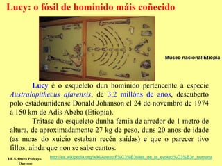Lucy: o fósil de homínido máis coñecido



                                                                             Museo nacional Etiopía




          Lucy é o esqueleto dun homínido pertencente á especie
 Australopithecus afarensis, de 3,2 millóns de anos, descuberto
 polo estadounidense Donald Johanson el 24 de novembro de 1974
 a 150 km de Adís Abeba (Etiopía).
          Trátase do esqueleto dunha femia de arredor de 1 metro de
 altura, de aproximadamente 27 kg de peso, duns 20 anos de idade
 (as moas do xuicio estaban recén saídas) e que o parecer tivo
 fillos, aínda que non se sabe cantos.
I.E.S. Otero Pedrayo.   http://es.wikipedia.org/wiki/Anexo:F%C3%B3siles_de_la_evoluci%C3%B3n_humana
       Ourense
 