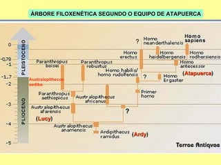 ÁRBORE FILOXENÉTICA SEGUNDO O EQUIPO DE ATAPUERCA




                                           (Atapuerca)
Australopithecus
sediba




   (Lucy)

                             (Ardy)
 