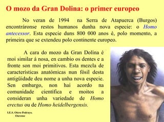 O mozo da Gran Dolina: o primer europeo
       No veran de 1994 na Serra de Atapuerca (Burgos)
encontráronse restos humanos dunha nova especie: o Homo
antecessor. Esta especie duns 800 000 anos é, polo momento, a
primeira que se extendeu polo continente europeo.

        A cara do mozo da Gran Dolina é
moi similar á nosa, en cambio os dentes e a
fronte son moi primitivos. Esta mezcla de
características anatómicas nun fósil desta
antigüidade deu nome a unha nova especie.
Sen embargo, non hai acordo na
comunidade científica e moitos a
consideran unha variedade de Homo
erectus ou de Homo heidelbergensis.
I.E.S. Otero Pedrayo.
       Ourense
 