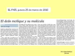 I.E.S. Otero Pedrayo.
       Ourense
 