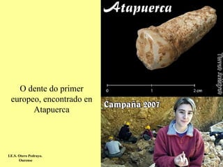O dente do primer
 europeo, encontrado en
       Atapuerca




I.E.S. Otero Pedrayo.
       Ourense
 