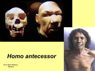 Homo antecessor
I.E.S. Otero Pedrayo.
       Ourense
 