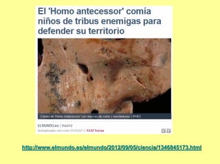 http://www.elmundo.es/elmundo/2012/09/05/ciencia/1346845173.html
 