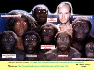 Del simio al hombre moderno: http://www.elmundo.es/especiales/2009/02/ciencia/darwin/seccion3/index.html
                                                                                             I.E.S. Otero Pedrayo.
Atapuerca http://www.fecyt.es/especiales/atapuerca/principal.htm                                    Ourense
 