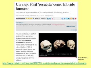 I.E.S. Otero Pedrayo.
                                                                           Ourense

http://www.publico.es/ciencias/396771/un-viejo-fosil-resucita-como-hibrido-humano
 