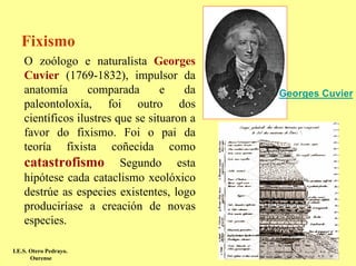 Fixismo
    O zoólogo e naturalista Georges
    Cuvier (1769-1832), impulsor da
    anatomía       comparada       e    da   Georges Cuvier
    paleontoloxía, foi outro dos
    científicos ilustres que se situaron a
    favor do fixismo. Foi o pai da
    teoría fixista coñecida como
    catastrofismo Segundo esta
    hipótese cada cataclismo xeolóxico
    destrúe as especies existentes, logo
    produciríase a creación de novas
    especies.

I.E.S. Otero Pedrayo.
       Ourense
 