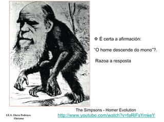 É certa a afirmación:

                                        “O home descende do mono”?.

                                        Razoa a resposta




                               The Simpsons - Homer Evolution
I.E.S. Otero Pedrayo.   http://www.youtube.com/watch?v=faRlFsYmkeY
       Ourense
 