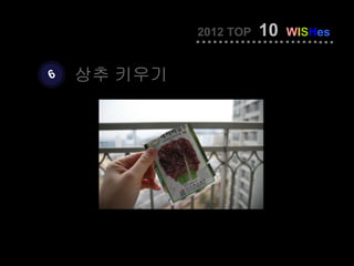 2012 TOP   10   WISHes


6   상추 키우기
 