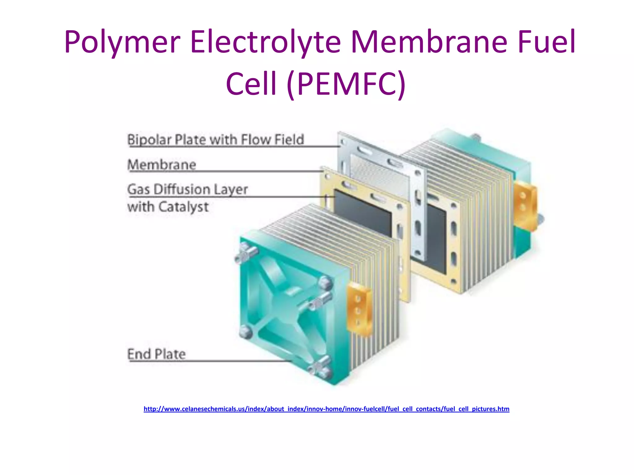 Polymer Electrolyte Membrane Fuel
           Cell (PEMFC)




     http://www.celanesechemicals.us/index/about_index/innov-home/innov-fuelcell/fuel_cell_contacts/fuel_cell_pictures.htm
 
