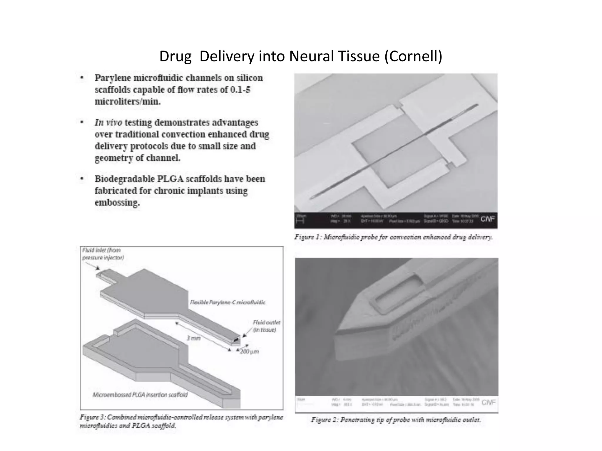 Drug Delivery into Neural Tissue (Cornell)
 