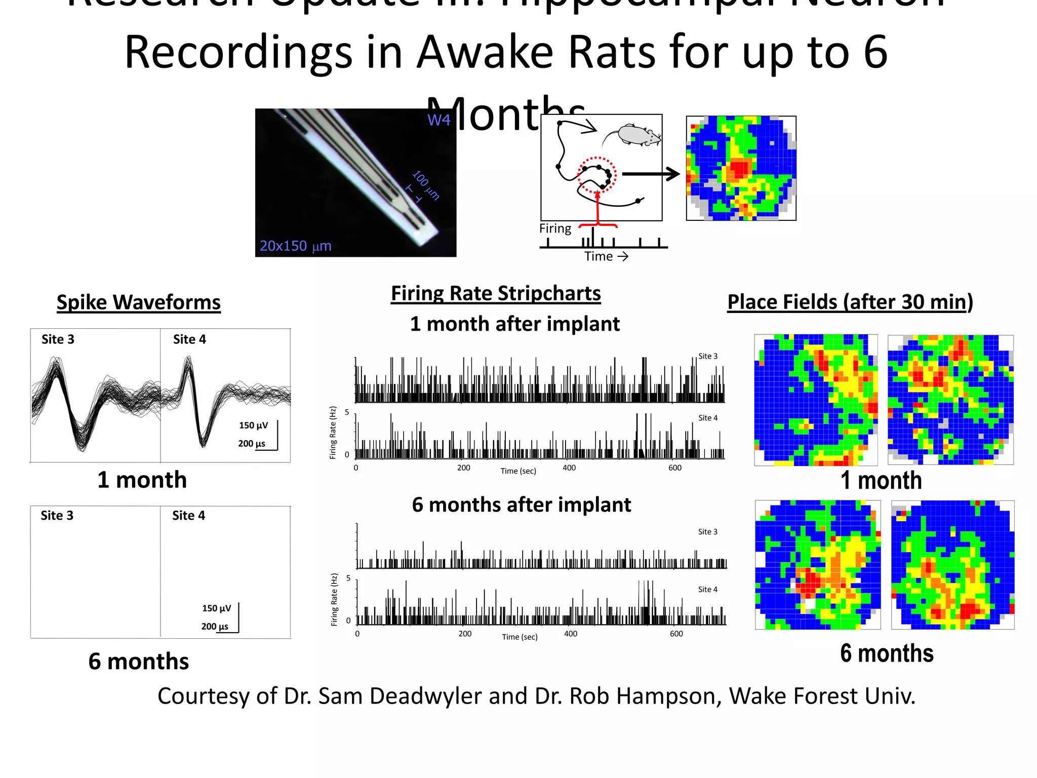 Research Update III: Hippocampal Neuron
      Recordings in Awake Rats for up to 6
                    Months                                                              W4
                                                                                                                                                                             )
                                                                                                                                                                             .
                                                                                                                                                                             8
                                                                                                                                                                             1
                                                                                                                                                                             (
                                                                                                                                                                             3
                                                                                                                                                                             7




                                                                                   10
                                                                                   0
                                                                                                                                   4   9   (   1   2   .   1   )                            6           1       (   1           5       .   1   )




                                                                                    mm
                                                                                                                Firing
                                    20x150 µm
                                                                                                                          Time →


  Spike Waveforms                                                            Firing Rate Stripcharts                                                                        Place Fields (after 30 min)
                                                                               1 month after implant                               9   3   (   2   3   .   1   )                            9           4       (   2           3       .   2   )




Site 3          Site 4
                                                                                                                                                                                    7   3       (   1       8           .   1       )                         8   1       (       2       0           .       1       )




                                                                                                                                                                   Site 3
                                            Firing Rate (Hz)




                                                                 5
                                                                                                                                                                   Site 4
                                150 µV
                    DSP01b
                     sig001     200 µs
                      12000
                                                                 0
                                                                         DSP03a
                                                                     0                       200                    400            600

                                                                                                                                                                                                                                                    1 month
                                                                          sig003
                                                                                                   Time (sec)
         1 month
                                                                           12000
                                                                                                                                                                                    8   2       (   2       0           .   2       )




Site 3          Site 4
                                                                                   6 months after implant
                                                                                                                                                                   Site 3                                                                               61(15.1)
                                              Firing Rate (Hz)




                                                                 5
                                                                                                                                                                   Site 4

                       150 µV
                                                                 0
                       200 μs
                                                                     0                       200                    400                600
                                                                                                                                                                                                                                                                      )       2       .       0   2       (       2       8




                                                                                                   Time (sec)


         6 months                                                         6 months
              Courtesy of Dr. Sam Deadwyler and Dr. Rob Hampson, Wake Forest Univ.
 