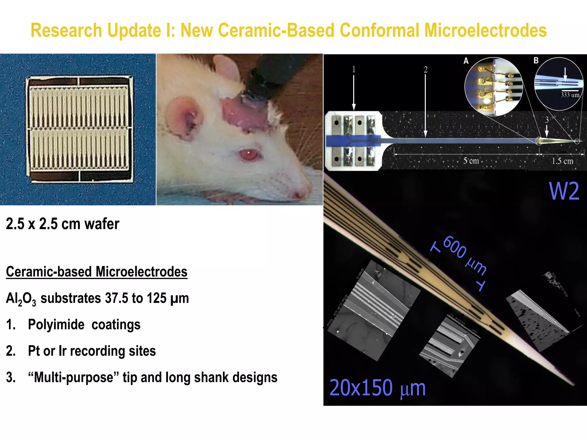 Research Update I: New Ceramic-Based Conformal Microelectrodes


                                                                  Serial




                                                                           W2
2.5 x 2.5 cm wafer
                                                             60
                                                                  0
                                                                      mm
Ceramic-based Microelectrodes     Side-by-Side
Al2O3 substrates 37.5 to 125 µm
1. Polyimide coatings
             “Ceramic-based
2.   Pt or Ir recording sites
               Microarrays”
3. “Multi-purpose” tip and long shank designs
                                                 20x150 µm
 