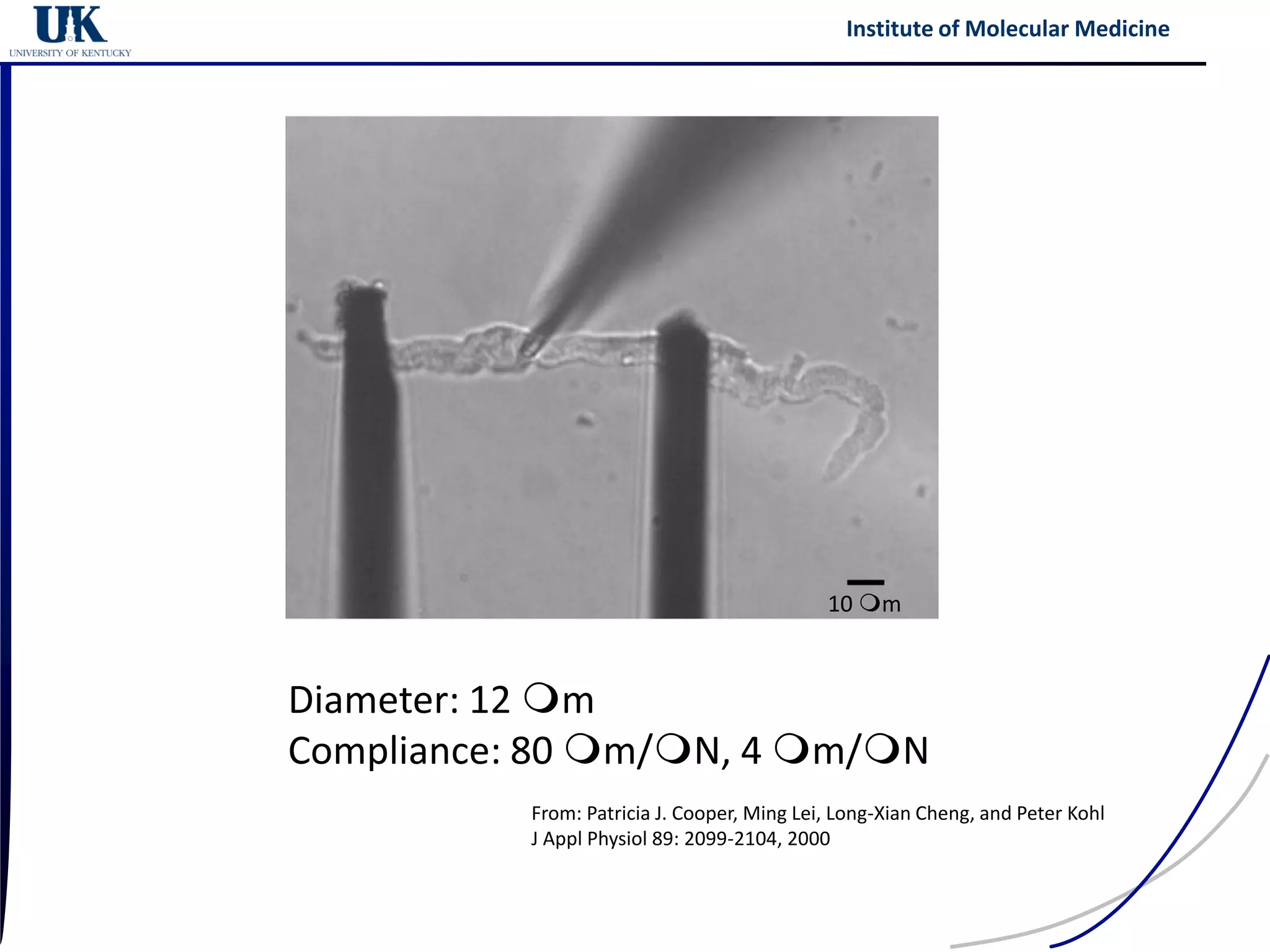 Institute of Molecular Medicine




                                            10 mm



Diameter: 12 mm
Compliance: 80 mm/mN, 4 mm/mN
          From: Patricia J. Cooper, Ming Lei, Long-Xian Cheng, and Peter Kohl
          J Appl Physiol 89: 2099-2104, 2000
 