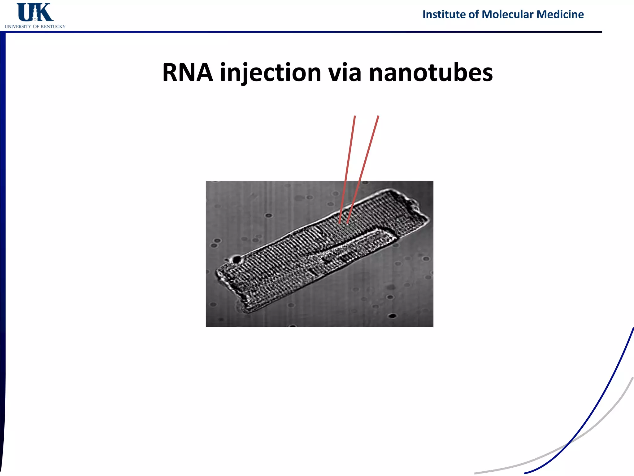 Institute of Molecular Medicine




RNA injection via nanotubes
 