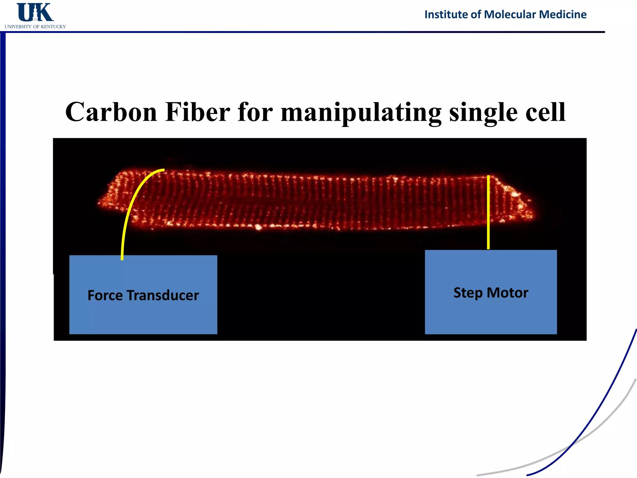 Institute of Molecular Medicine




Carbon Fiber for manipulating single cell




 Force Transducer                 Step Motor
 