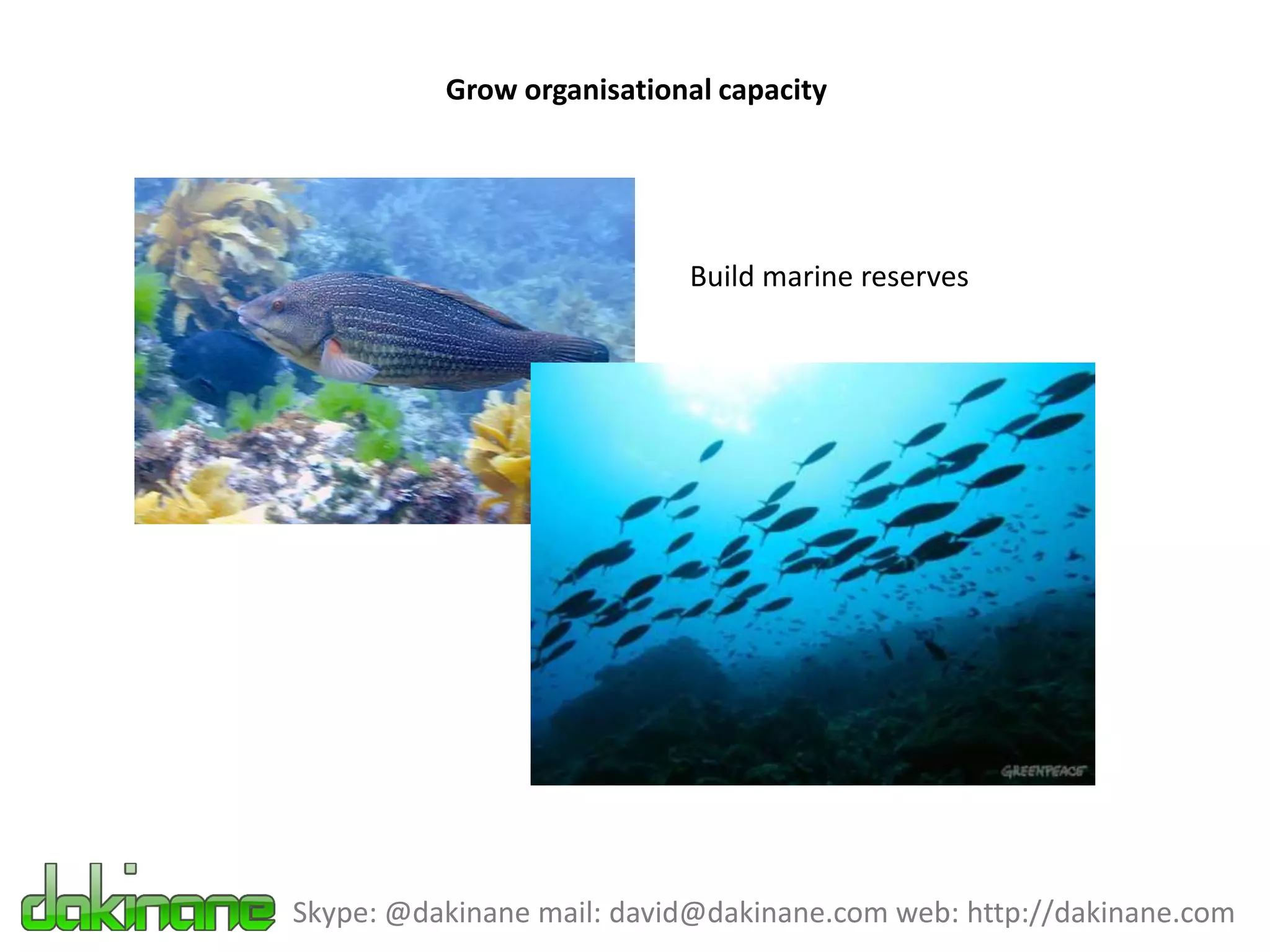 Grow organisational capacity




                           Build marine reserves




Skype: @dakinane mail: david@dakinane.com web: http://dakinane.com
 