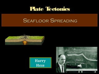 Plate Tectonics
Seafloor Spreading




    Harry
    Hess
 