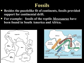 Fossils
   Besides the puzzlelike fit of continents, fossils provided
    support for continental drift.
   For example: fossils of the reptile Mesosaurus have
    been found in South America and Africa.
 