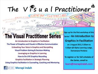2012 visual practitioner series