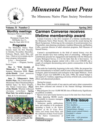 Minnesota Plant Press
                                   The Minnesota Native Plant Society Newsletter

                                                                   www.mnnps.org
Volume 31 Number 2                                                                                   Spring 2012
 Monthly meetings                       Carmen Converse receives
 Thompson Park Center/Dakota
            Lodge
    Thompson County Park
                                        lifetime membership award
                                          Carmen Converse is the 2012 recipient of a lifetime membership in
      360 Butler Ave. E.,               the Minnesota Native Plant Society. She received the award during the
   West St. Paul, MN 55118              March Symposium. Following are the comments of award presenters Lee
         Programs                       Pfannmuller, state planning coordinator, Audubon Minnesota; and Barbara
   The Minnesota Native Plant           Coffin, associate director of adult education programs, Bell Museum of
Society meets the first Thursday        Natural History.
in October, November, December,           Carmen’s accomplishments in the field of natural history over the
February, March, April, May, and        past few decades have been nothing short of astounding. Although her
June. Check at www.mnnps.org for        contributions precede her engagement and leadership with the Minnesota
more program information.               County Biological Survey, it is for the latter that she is best known. In
   6 p.m. — Social period               1987, this fledgling program started with a little over $100,000 and a
   7 – 9 p.m. — Program, Society        couple of ecologists documenting native prairie communities in the Red
business                                River Valley.
   May 3: “Wild Orchids of
Minnesota,” by Welby Smith,           But under her leadership, beginning in the early 1990s, the program has
botanist, Minnesota DNR. Plant-    grown tremendously to include a staff of some of the best plant community
of-the-Month: Least moonwort       ecologists, plant taxonomists and zoologists in the Upper Midwest. From
(Botrychium tenebrosum).           a budget of just over $200,000 in the early 1990s, the annual budget is
                                   now nearly $1.5 million, supporting a diversity of field work, conservation
   June 7: “Minnesota’s State efforts and educational products.
Prairie Plan: The Conservation of
Minnesota’s Most Threatened Major     During her tenure:
Habitat Type,” by Steve Chaplin,   • More than 19,000 records of rare species and native plant communities
The Nature Conservancy.  Plant- have been collected and entered in the Natural Heritage Information
of-the-Month: Whorled milkweed System;
(Asclepias verticillata).  Spring • Map polygons for over 10,000 MCBS sites of Biodiversity Significance
Plant Sale: See article on page 2. are publicly available;
                                   • Species never previously known to occur in the state have been found;
   Oct. 4: To be announced.
                                   • Maps depicting MCBS results
                                   are available to resource managers
                                   throughout the state;                            In this issue
                                   • Numerous quality publications          Society news ...........................2
                                   have and continue to be produced,        New members .........................2
                                   including a Guide to the Native          Native plant sale ....................2
                                   Habitats of the St Croix River           Nomenclature changes ...........3
                                   Valley and Anoka Sand Plain, and         Maple syrup’s natural history ...4
                                   the collection of three Field Guides     President’s column .................5
 Asarum canadense (wild ginger)    to the Native Communities of             Field trips ...............................6
 that Ken Arndt is potting for the Minnesota.                               Plant Lore - wild geranium ....7
 June 7 native plant sale.         Continued on page 3                      Conservation Corner ..............7
 