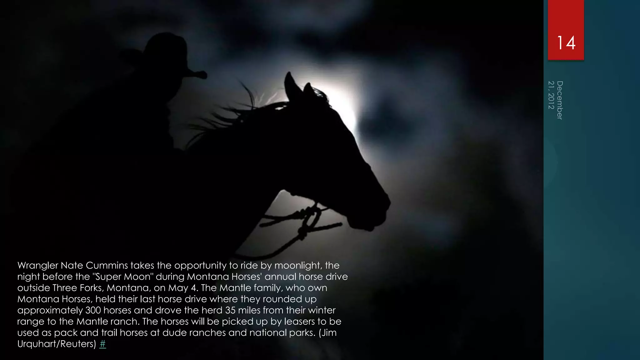 14




Wrangler Nate Cummins takes the opportunity to ride by moonlight, the
night before the "Super Moon" during Montana Horses' annual horse drive
outside Three Forks, Montana, on May 4. The Mantle family, who own
Montana Horses, held their last horse drive where they rounded up
approximately 300 horses and drove the herd 35 miles from their winter
range to the Mantle ranch. The horses will be picked up by leasers to be
used as pack and trail horses at dude ranches and national parks. (Jim
Urquhart/Reuters) #
 