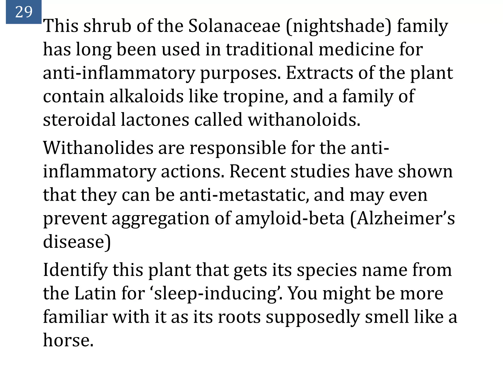 29
     This shrub of the Solanaceae (nightshade) family
     has long been used in traditional medicine for
     anti-inflammatory purposes. Extracts of the plant
     contain alkaloids like tropine, and a family of
     steroidal lactones called withanoloids.
     Withanolides are responsible for the anti-
     inflammatory actions. Recent studies have shown
     that they can be anti-metastatic, and may even
     prevent aggregation of amyloid-beta (Alzheimer’s
     disease)
     Identify this plant that gets its species name from
     the Latin for ‘sleep-inducing’. You might be more
     familiar with it as its roots supposedly smell like a
     horse.
 