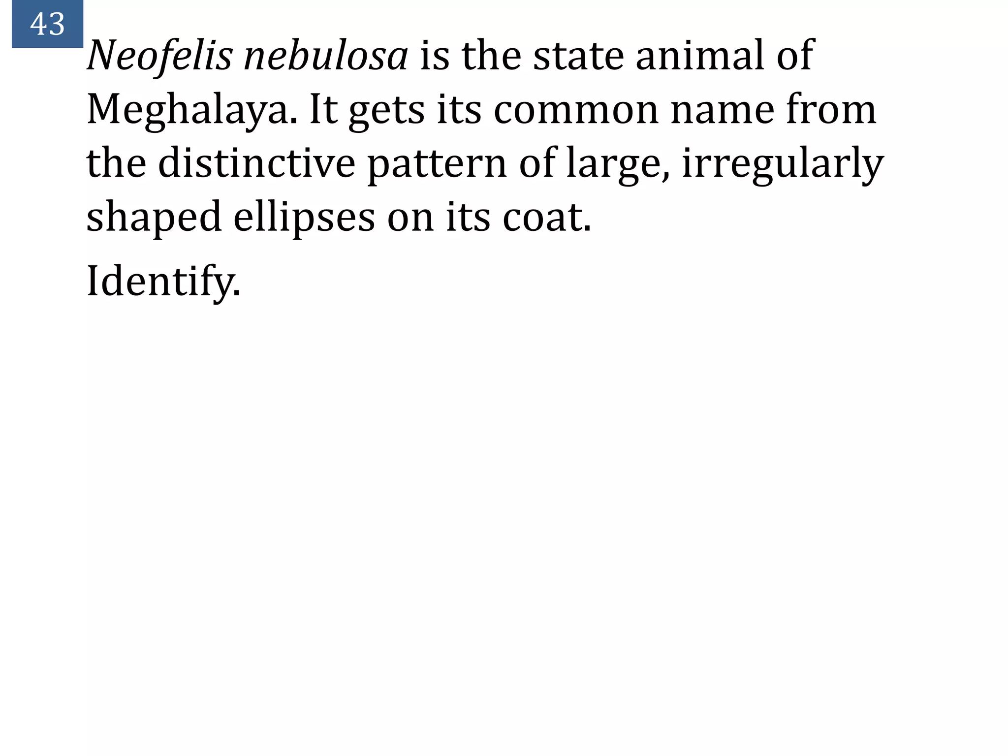 43
     Neofelis nebulosa is the state animal of
     Meghalaya. It gets its common name from
     the distinctive pattern of large, irregularly
     shaped ellipses on its coat.
     Identify.
 