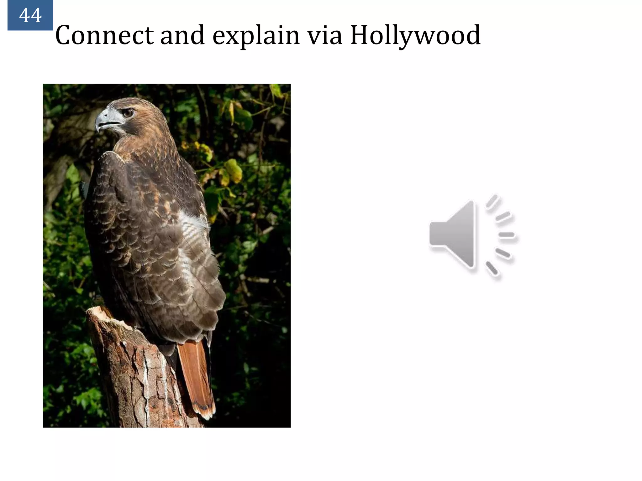 44
     Connect and explain via Hollywood
 