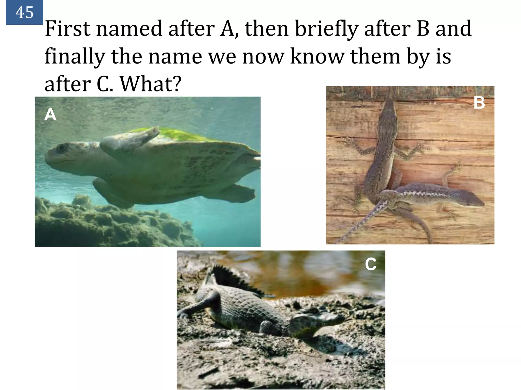 45
     First named after A, then briefly after B and
     finally the name we now know them by is
     after C. What?
                                                     B
     A




                                      C
 