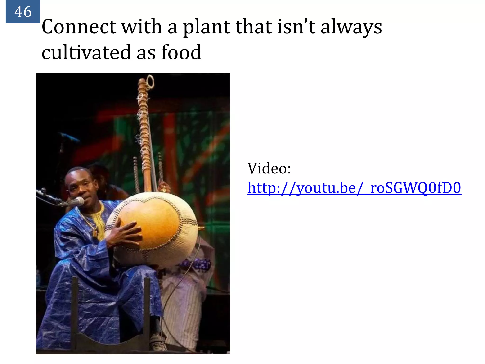 46
     Connect with a plant that isn’t always
     cultivated as food




                           Video:
                           http://youtu.be/_roSGWQ0fD0
 