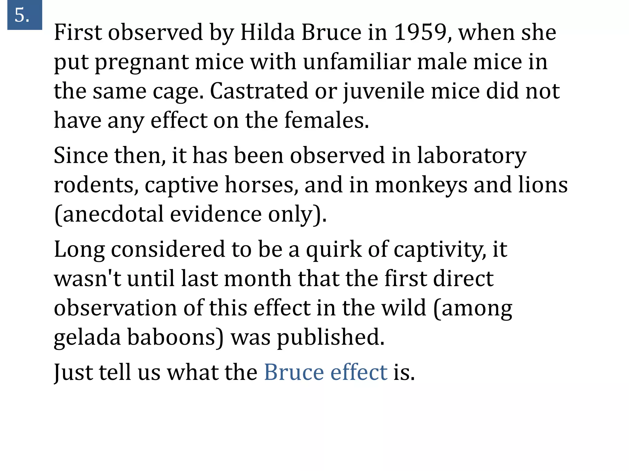 5.
     First observed by Hilda Bruce in 1959, when she
     put pregnant mice with unfamiliar male mice in
     the same cage. Castrated or juvenile mice did not
     have any effect on the females.
     Since then, it has been observed in laboratory
     rodents, captive horses, and in monkeys and lions
     (anecdotal evidence only).
     Long considered to be a quirk of captivity, it
     wasn't until last month that the first direct
     observation of this effect in the wild (among
     gelada baboons) was published.
     Just tell us what the Bruce effect is.
 