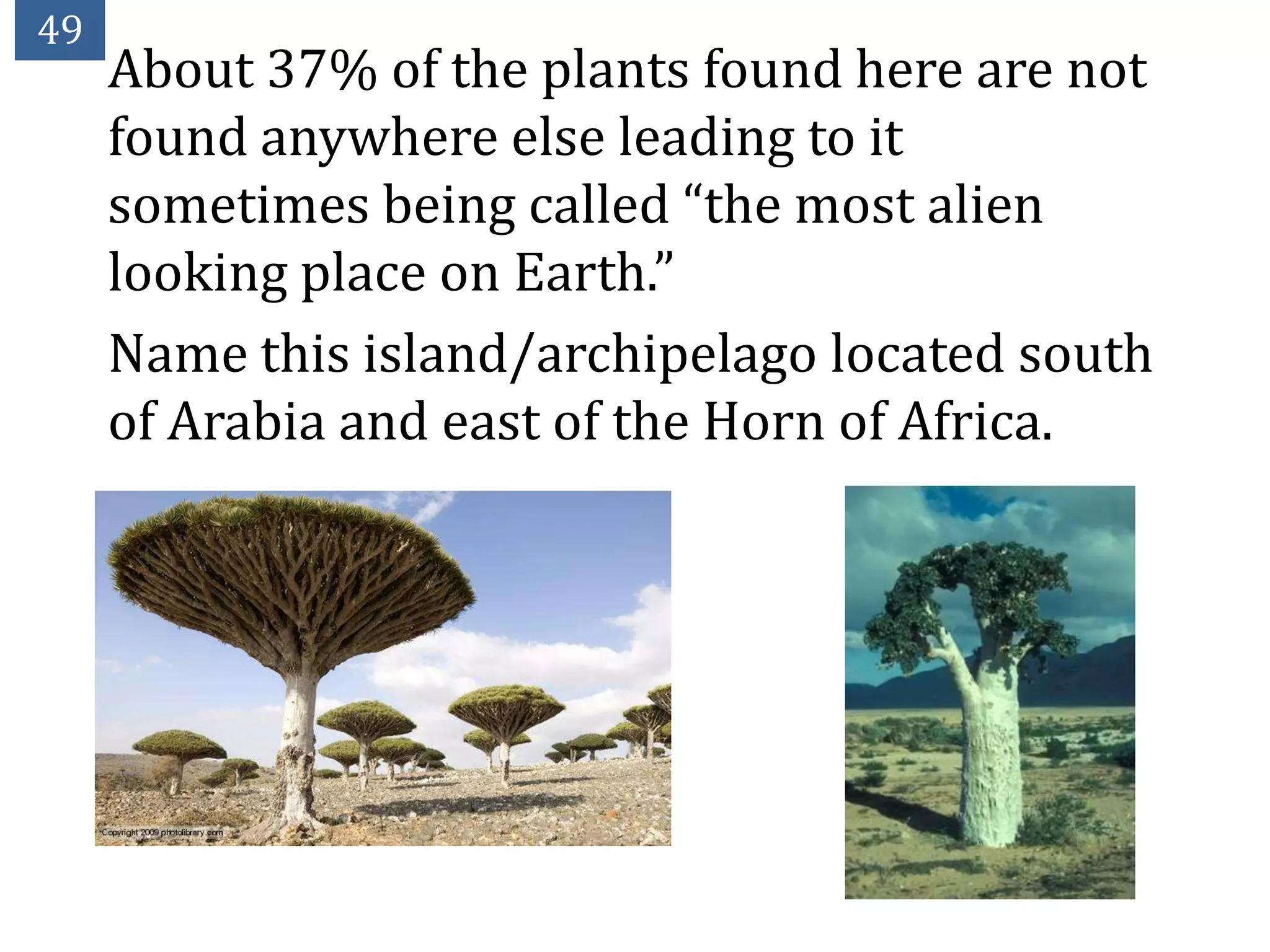 49
     About 37% of the plants found here are not
     found anywhere else leading to it
     sometimes being called “the most alien
     looking place on Earth.”
     Name this island/archipelago located south
     of Arabia and east of the Horn of Africa.
 