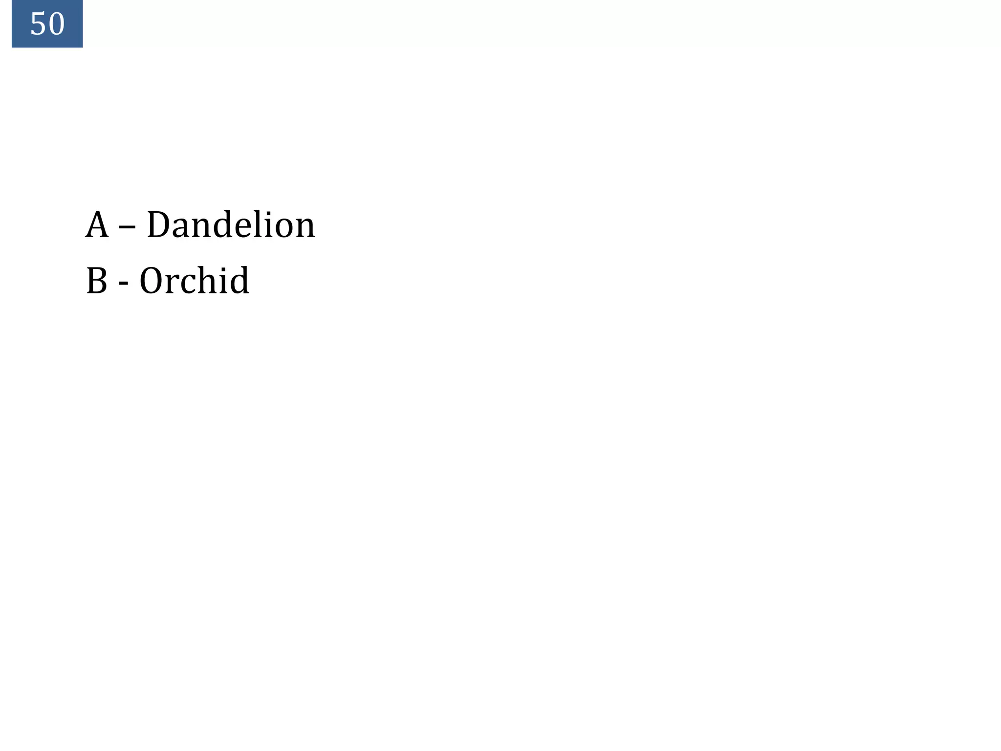 50




     A – Dandelion
     B - Orchid
 