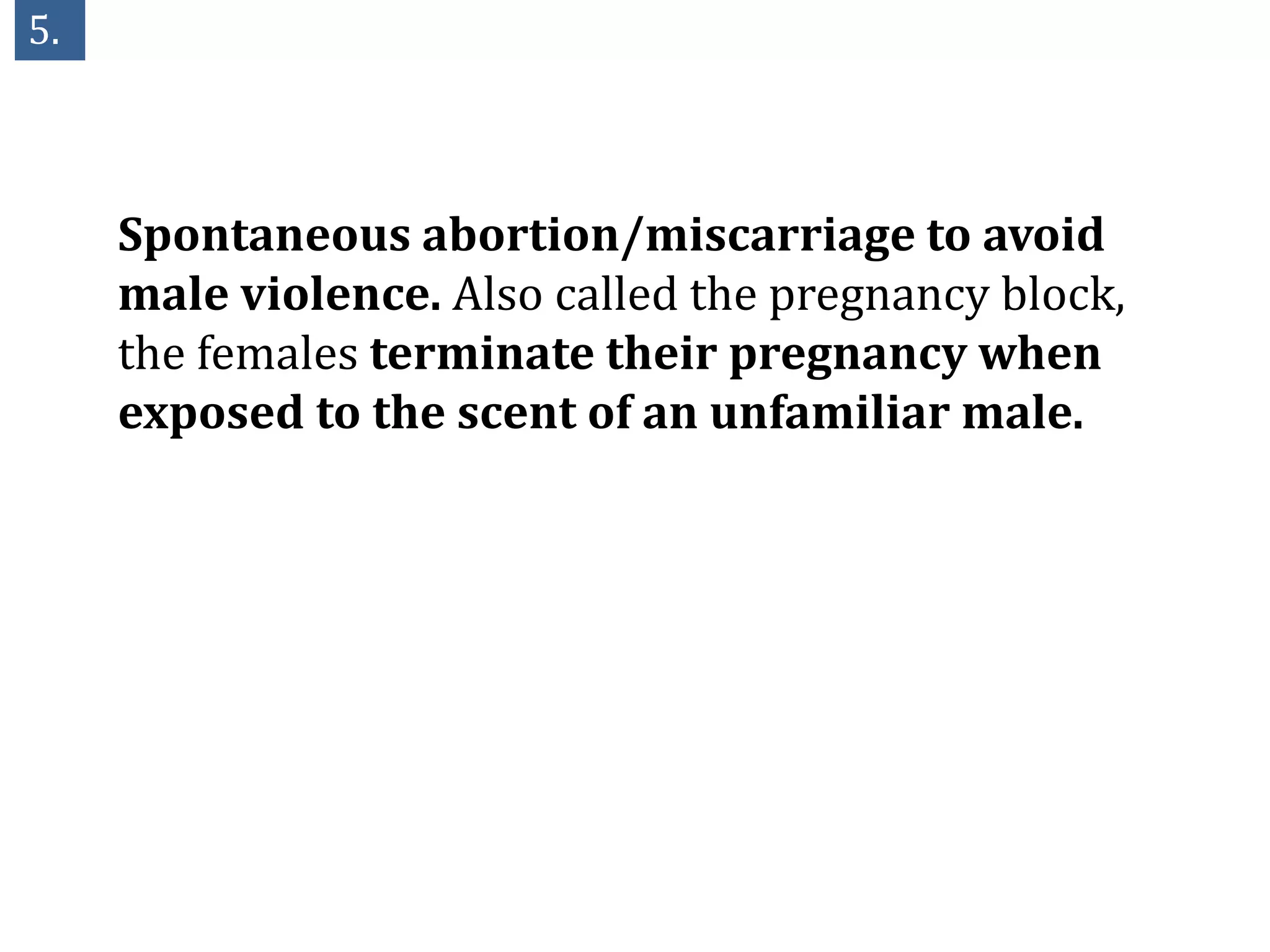 5.



     Spontaneous abortion/miscarriage to avoid
     male violence. Also called the pregnancy block,
     the females terminate their pregnancy when
     exposed to the scent of an unfamiliar male.
 