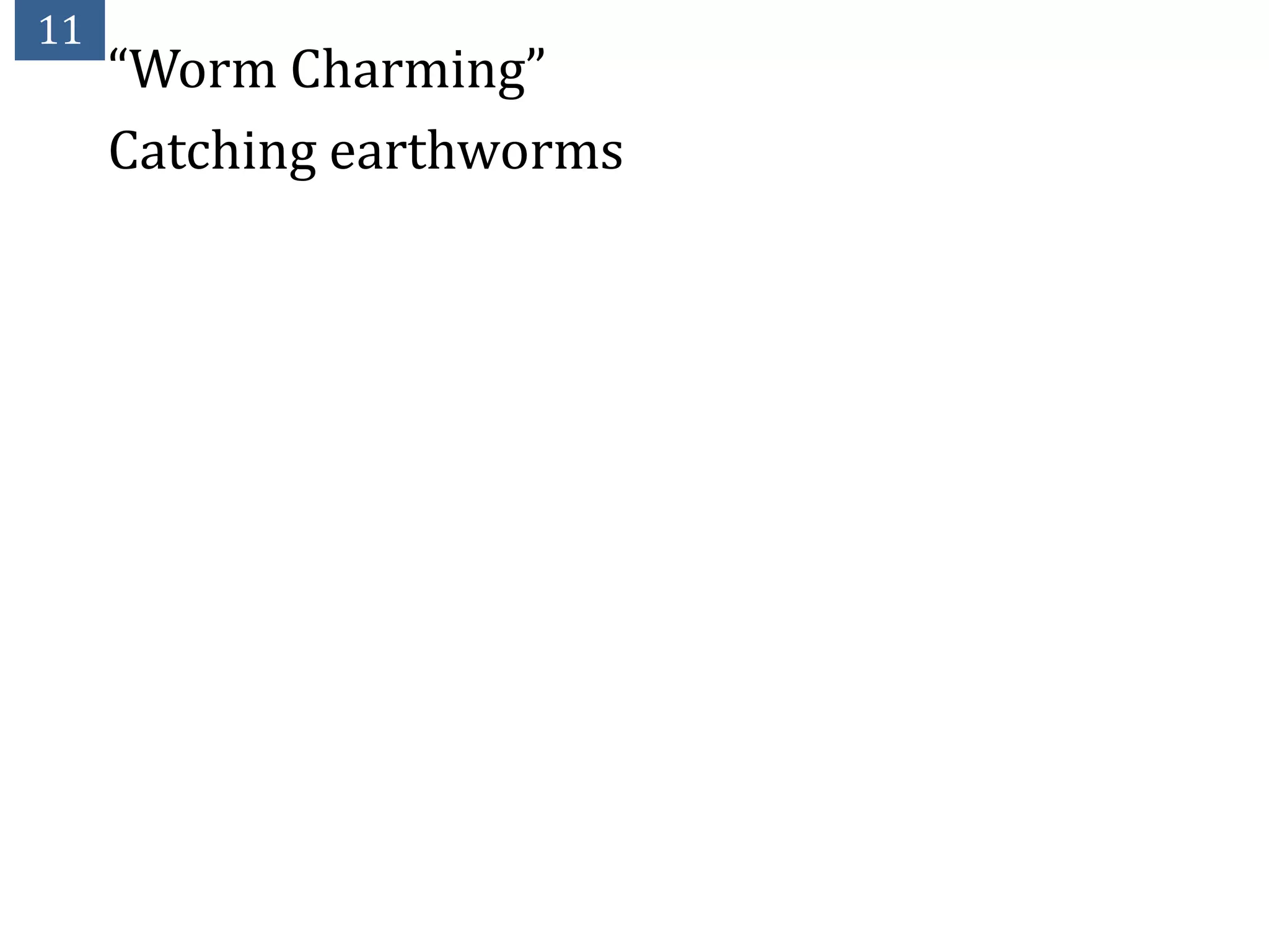 11
     “Worm Charming”
     Catching earthworms
 