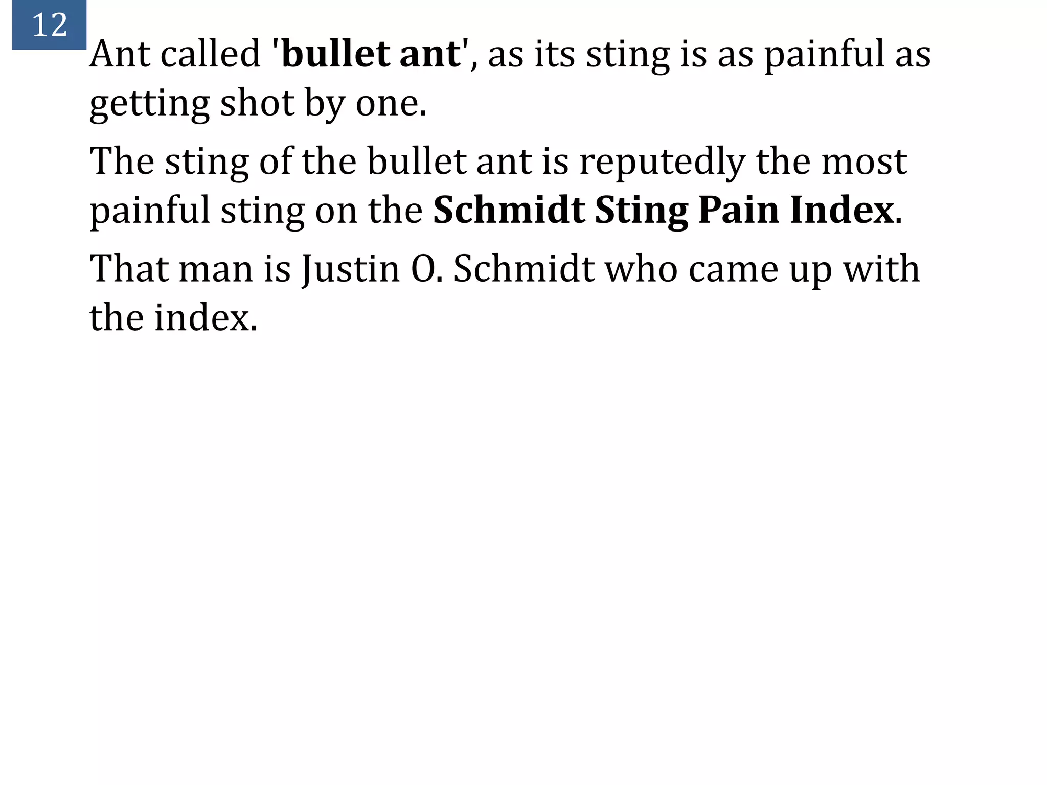 12
     Ant called 'bullet ant', as its sting is as painful as
     getting shot by one.
     The sting of the bullet ant is reputedly the most
     painful sting on the Schmidt Sting Pain Index.
     That man is Justin O. Schmidt who came up with
     the index.
 