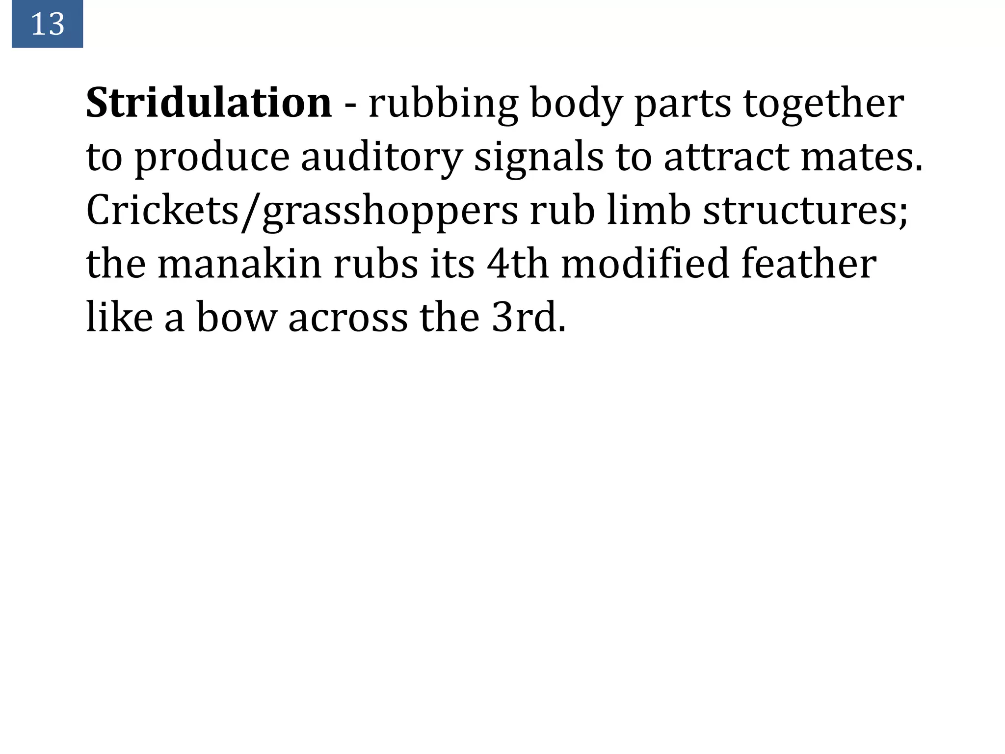 13

     Stridulation - rubbing body parts together
     to produce auditory signals to attract mates.
     Crickets/grasshoppers rub limb structures;
     the manakin rubs its 4th modified feather
     like a bow across the 3rd.
 