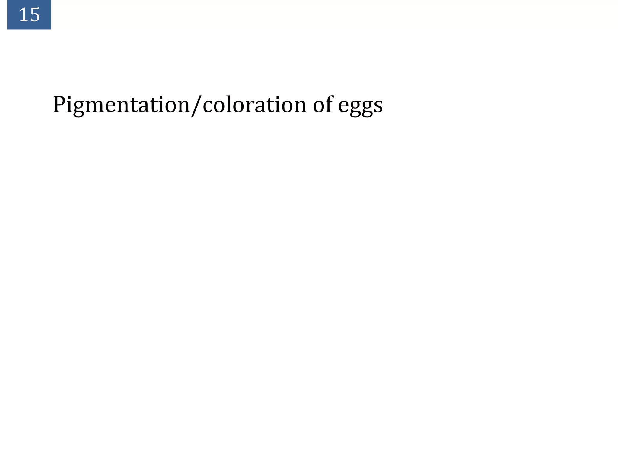 15



     Pigmentation/coloration of eggs
 