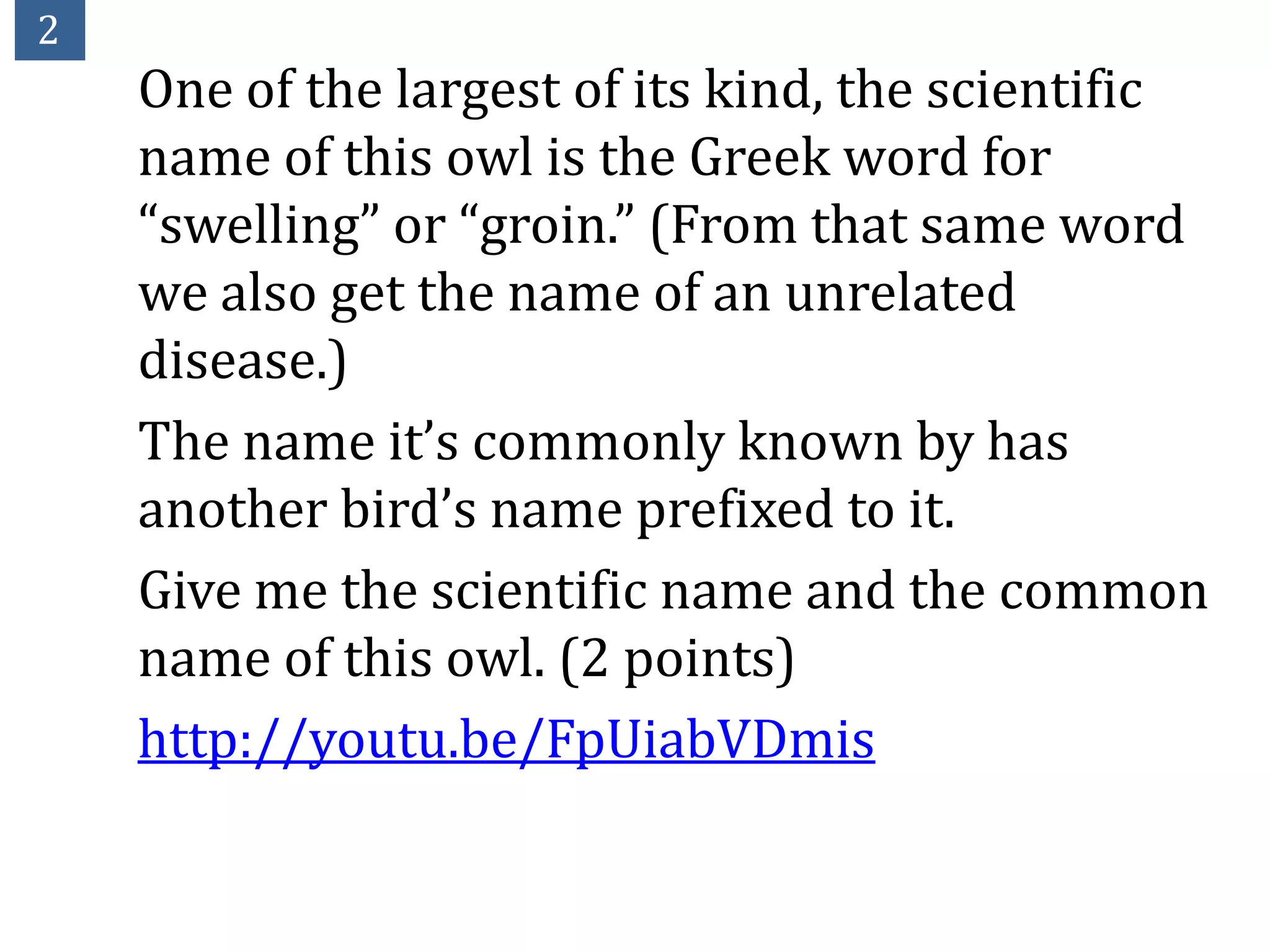 2
    One of the largest of its kind, the scientific
    name of this owl is the Greek word for
    “swelling” or “groin.” (From that same word
    we also get the name of an unrelated
    disease.)
    The name it’s commonly known by has
    another bird’s name prefixed to it.
    Give me the scientific name and the common
    name of this owl. (2 points)
    http://youtu.be/FpUiabVDmis
 
