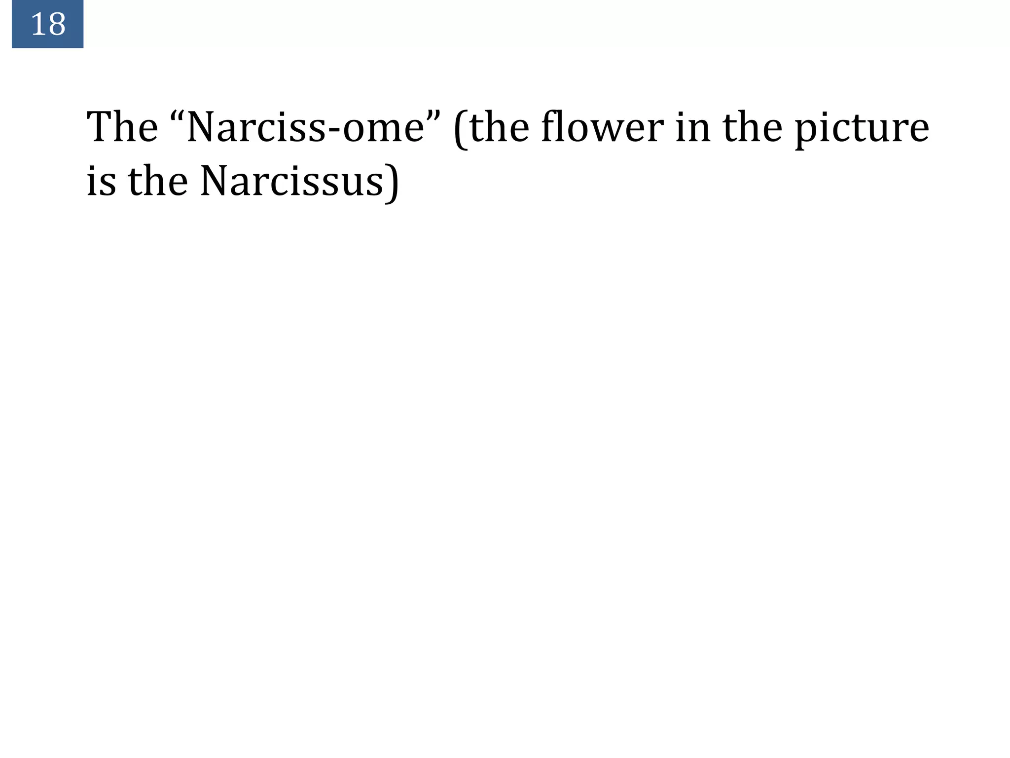 18


     The “Narciss-ome” (the flower in the picture
     is the Narcissus)
 