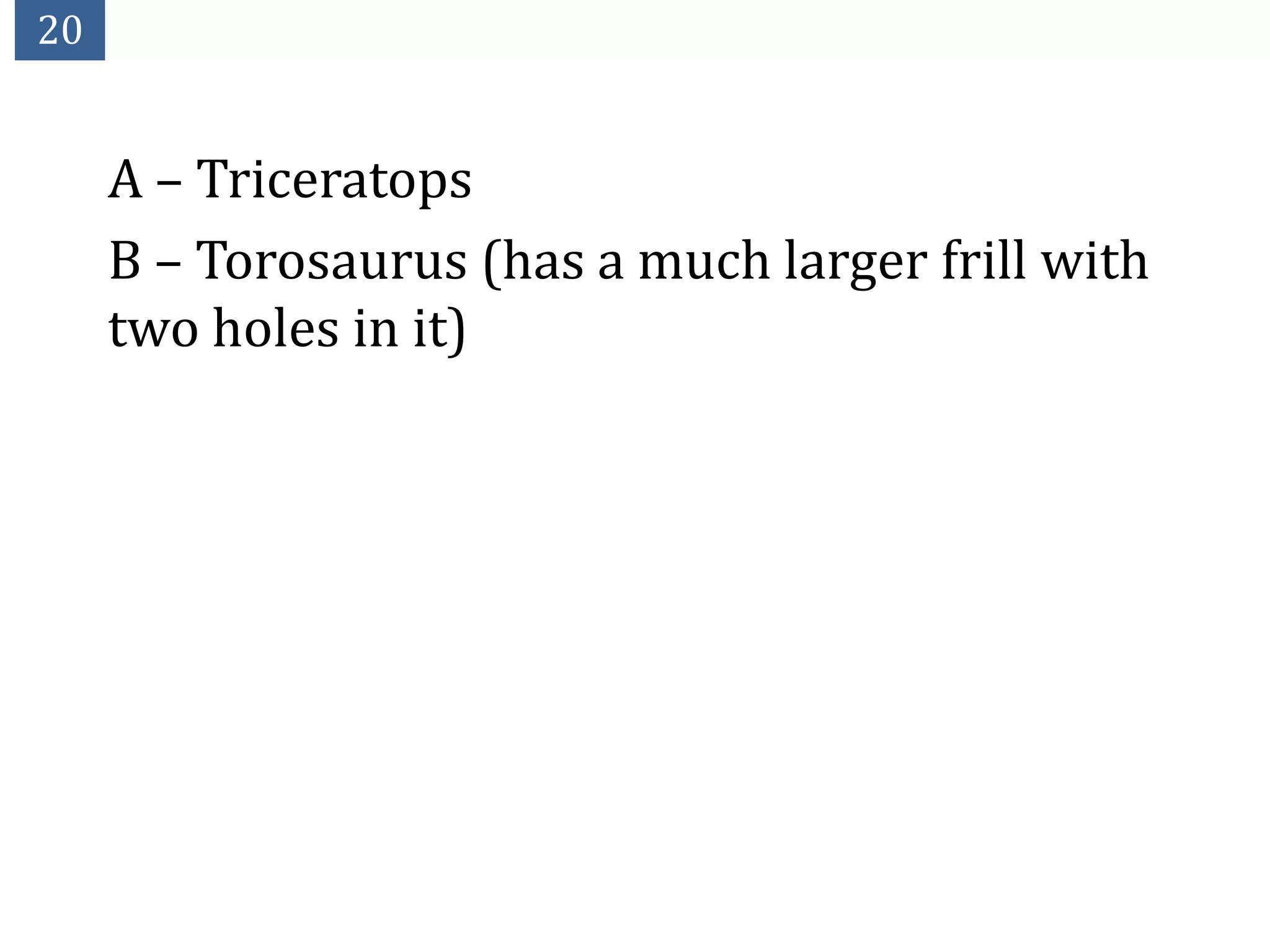 20


     A – Triceratops
     B – Torosaurus (has a much larger frill with
     two holes in it)
 